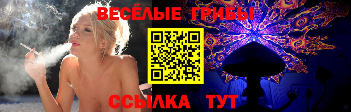 Йошкар-Ола  Галлюциногенные грибы Psilocybe  Вход с VPN 